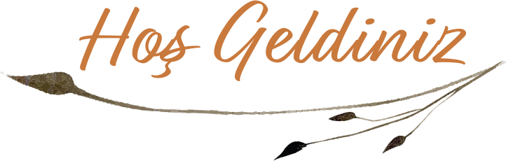 Hoşgeldiniz