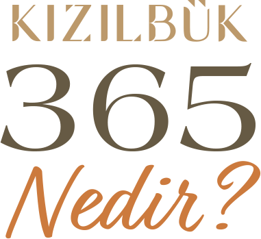 Kızılbük 365 Nedir